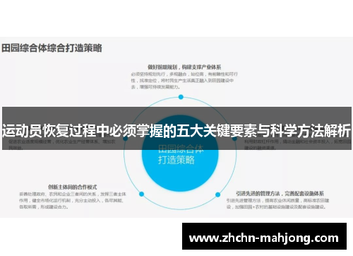 运动员恢复过程中必须掌握的五大关键要素与科学方法解析